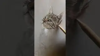 Be Enthralled by this 5-Second cute baby Cat Drawing 😻 #shorts #pets