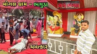 Mogal Dham Bhaguda 🚩 |  મોગલ ધામ ભગુડા I Bhaguda Mogal Dham 2025 | @Shailesh_Vlogs-k6u #mogaldham