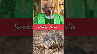 Shorts#Homily#A.M.A.Prabahar#anbu#Love#Aamai#tamil christian whatsapp status#sacredheart#storytamil