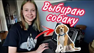 ВЛОГ / Выбирает себе СОБАКУ / Новая СТРИЖКА Бонни  25.02.21
