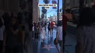 HOLLYWOOD WALK OF FAME
