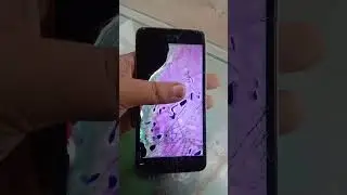 Oppo android mobile peenal screen mein pani chala gaya hai kaise sahi hoge ya nahi screen change hog