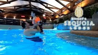 Swimming Pool at Sequoia Lodge (Is it always this COLD or did we get unlucky?)