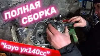 СБОРКА ДВИГАТЕЛЯ ПИТБАЙКА KAYO YX140 