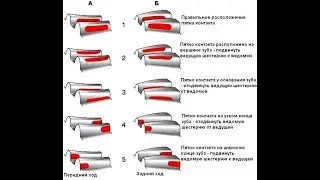 Проект 