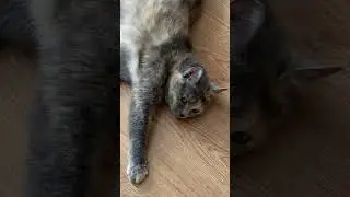 Вот, что такое взаимное супружеское понимание.