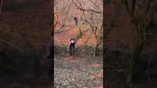 Велопокатушки на Бирцхе #5 #mtb #велопокатушки #маунтинбайк #мтб #велосипед
