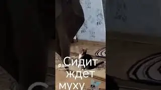 😆😄😅