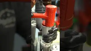 Soothing Shock Assembly