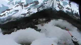 зимняя рыбалка на ротана