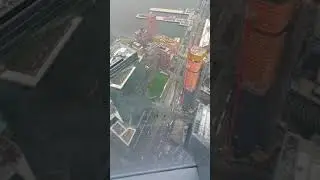 On top of One World Trade Center, Brooklyn Bridge, etc...NYC pics and clips of the Big Apple