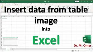 Inserting data from table image or picture into Excel
