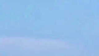 L O L I  D A Y