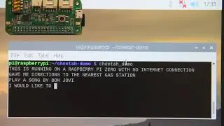 Running Cheetah Streaming Speech-to-text Offline on Raspberry Pi Zero