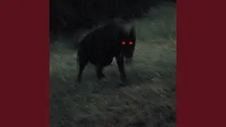 PREDATOR (Super Slowed)