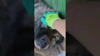 НАШ ТЕПЛЫЙ АВГУСТ🥰