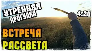 Прогулка с собакой в 4 утра | Встреча рассвета | D/K
