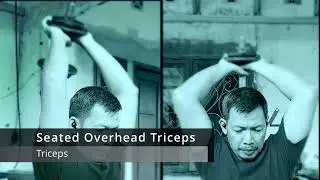 Workout at Home - Monday: Back-Biceps-Triceps-Shoulders