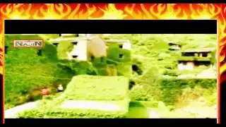 Fairy  tale dwellings Arial video of deserted houses enveloped in plants goes viral