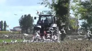 II Tractorum in campo - SDF - Lamborghini R6 / Silver 110 / Ripper Moreni / Air Disc Rossetto