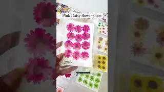 Range of Diverse Pressed Flowers / DIY Pressed Flowers / Resin Hacks 