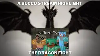 A Bucco Stream Highlight: The Realm of Risa 2 Dragon Fight