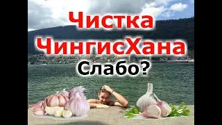5. Чистка от паразитов по методу Чингисхана. Иван Кузьминов