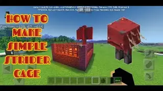 How To Make A Simple Strider Cage | IcySnowyPop Gamer