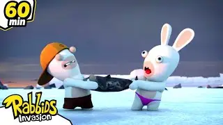 Where are the Rabbits going? | RABBIDS INVASION | 2H New compilation | Cartoon for kids
