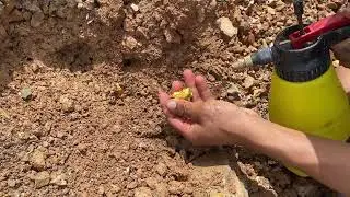 Finding and digging up for Treasure worth millions dollar Used the detector to search