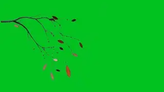 green screen tree effect | green screen video tree branches | winter season green screen