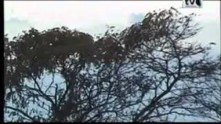 Transmisión "La Banda del Bicentenario" por TVO Sanvicente (16/10/10)