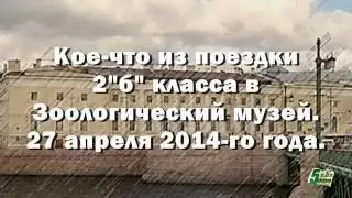 Кое-что из поездки 2"б" класса в Зоологический музей. 27 апреля 2014г.