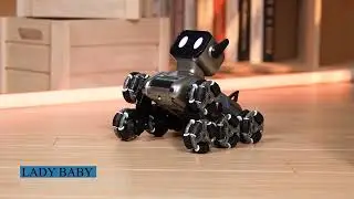 robo cosmo dog