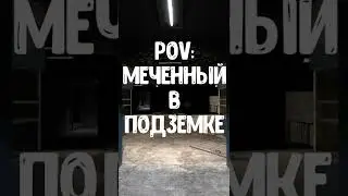 Когда МЕЧЕНЫЙ Спускается в Подземелье. Сталкер #shortsvideo #shorts