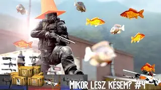 Phoenix Láda😋 - Mikor lesz késem? #4