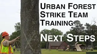 Urban Forest Strike Team Training - Next Steps