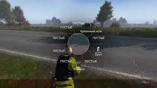 Dayz