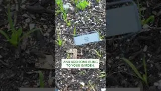 My Seriously Pro DIY Garden Markers – Weatherpoof, Custom Metal Plant Tags