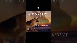 #мем #юмор