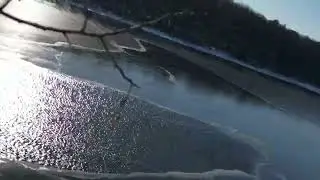 Drone Hits Tree Branch Close Call | DJI Mini 3 Pro