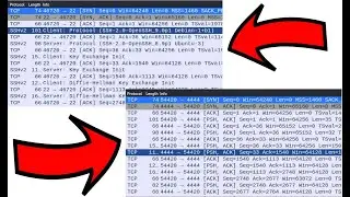 Can't Find SSH in Wireshark?