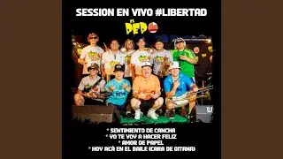 Amor De Papel - Vivo