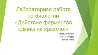 Действие ферментов слюны на крахмал