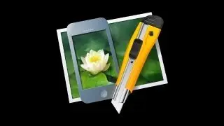 Application Review Ensoul