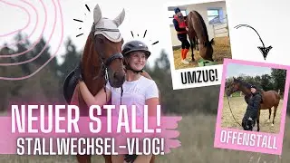 WIR ZIEHEN UM! 1 STALLVLOG!!