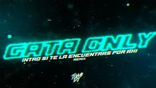 GATA ONLY (INTRO SI TE LA ENCUENTRAS POR AHÍ) | TOMI DJ (REMIX)