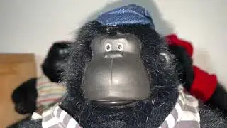 My 2nd Magogo Macarena Gorilla
