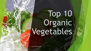 Top 10 Organic Vegetables