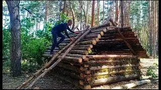 Simple log cabin in a quiet forest